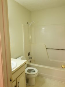 Buffalo Valley Apartments Bathroom