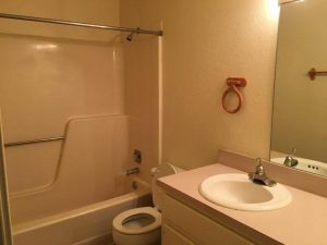 Buffalo Valley Apartments Bathroom