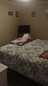 Montague Apartments Bedroom