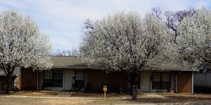 Montague Apartments Building Exterior 2