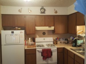 Crescent Village Apartments Kitchen