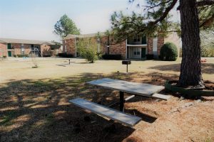 Tanglewood Village Apartments Picnic Table